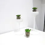 Appartamento Wonderful In